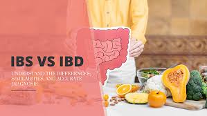 IBS vs IBD: Difference, Symptoms & Treatment Options